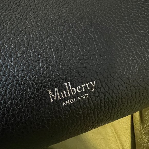 Mulberry Iris - Picture 8 of 12